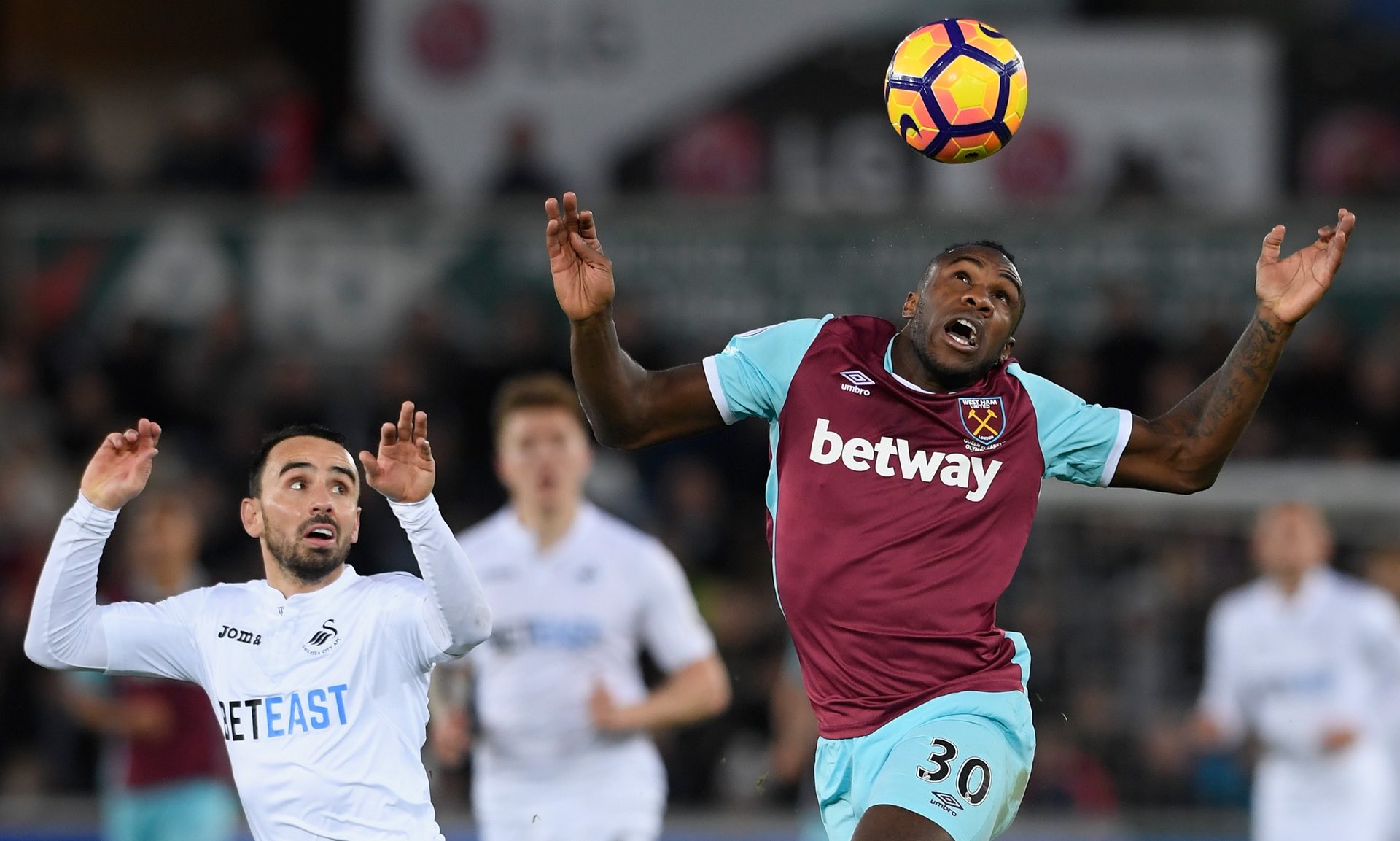 媒體的報導 媒體的報導